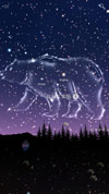 Night Skyの画像